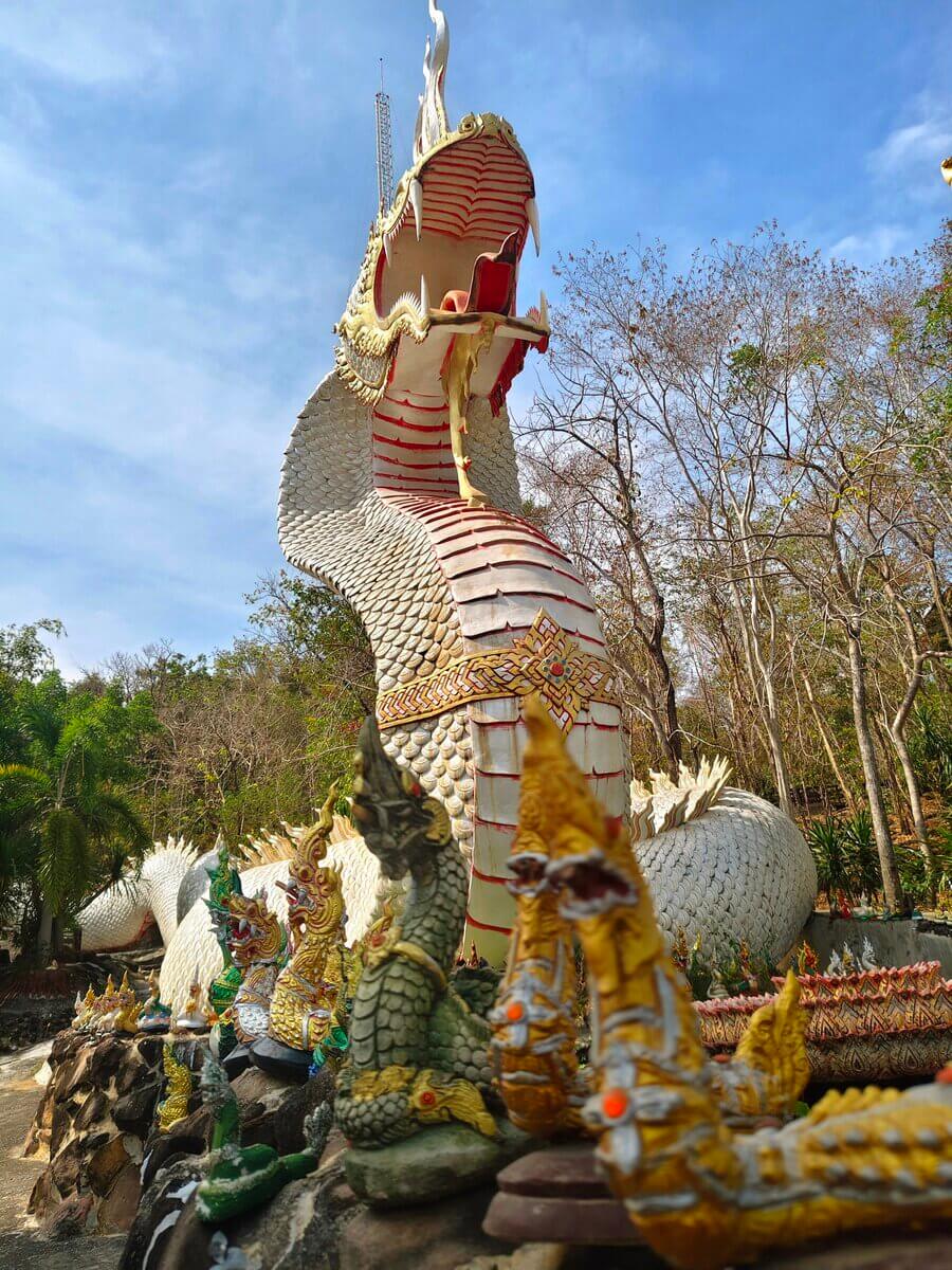 ถ่ายคู่พญานาคใหญ่