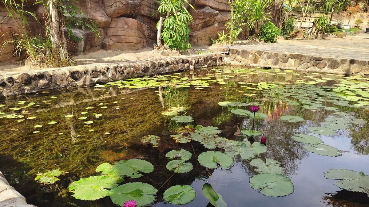 ทำบุญไหว้พระที่วัดถ้ำผาเกิ้ง จังหวัดขอนแก่น